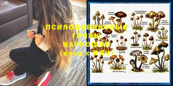 спиды Володарск