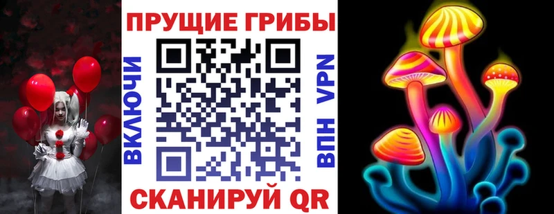 shop состав  Владикавказ  Галлюциногенные грибы Psilocybe 